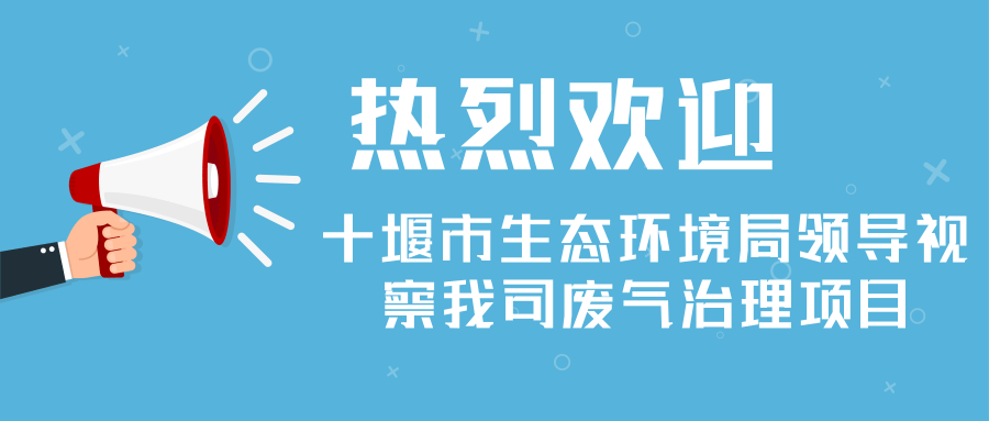 热烈欢迎十堰市生态环境局领导视察我司废气治理项目