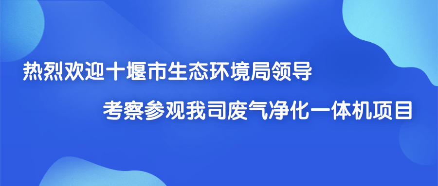 热烈欢迎十堰市生态环境局领导考察参观我司废气净化一体机项目